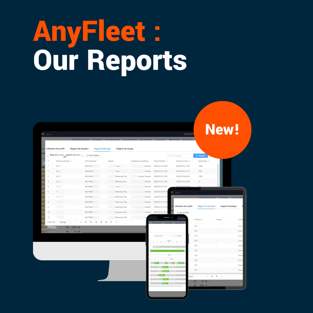 AnyFleet’s Reports : The Ultimate Guide